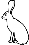 Hare