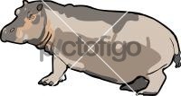 HippopotamusFreehand Image