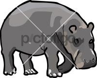 HippopotamusFreehand Image