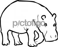 HippopotamusFreehand Image