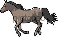 HorseFreehand Image