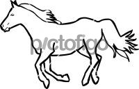 HorseFreehand Image