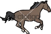 HorseFreehand Image