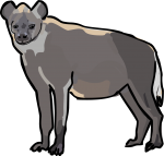 Hyena