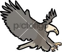 EagleFreehand Image