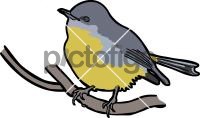 Eastern Yellow RobinFreehand Image