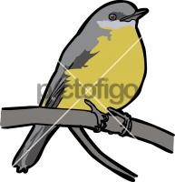 Eastern Yellow RobinFreehand Image