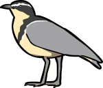 Egyptian Plover