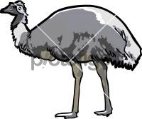 Emu