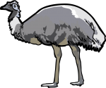Emu freehand drawings