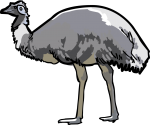 Emu