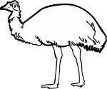 Emu