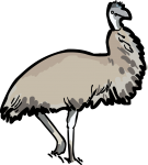 Emu