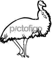 Emu