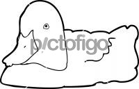 Ferruginous DuckFreehand Image