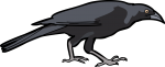 Giant Cowbird