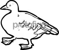 GooseFreehand Image