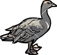 GooseFreehand Image