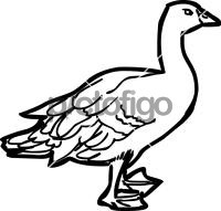 GooseFreehand Image