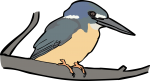 Half Collared Kingfisher