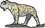 Jaguar freehand drawings