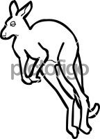 KangarooFreehand Image