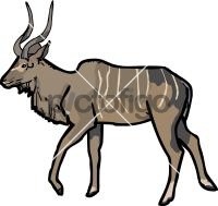 Kudu