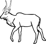 Kudu freehand drawings