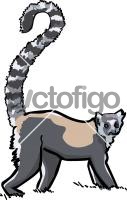 Lemur