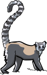 Lemur