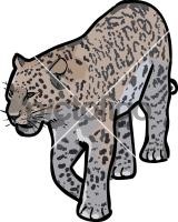 LeopardFreehand Image