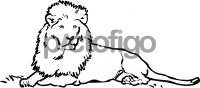 LionFreehand Image