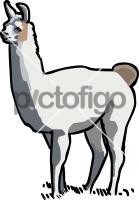 LLamaFreehand Image