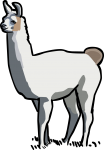 LLama