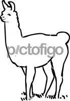 LLamaFreehand Image