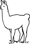 LLama freehand drawings