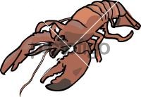 LobsterFreehand Image