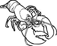 LobsterFreehand Image