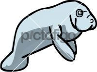 ManateeFreehand Image