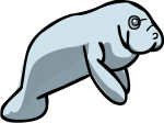 Manatee freehand drawings