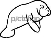 ManateeFreehand Image