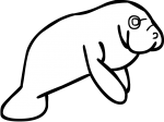 Manatee freehand drawings