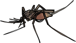 Mosquito freehand drawings