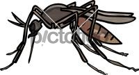 MosquitoFreehand Image