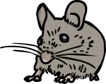 Mouse freehand drawings