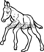 MuleFreehand Image