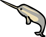 Narwhal