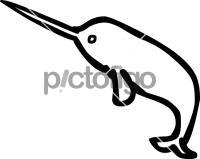 NarwhalFreehand Image