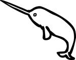 Narwhal freehand drawings