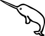 Narwhal